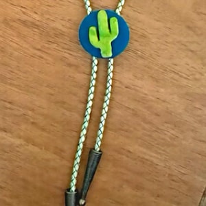 May include: A bolo tie featuring a braided cord and a circular pendant. The pendant has a blue background with a green cactus design. The tie has silver-colored tips.