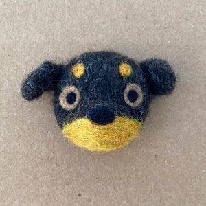 dog face magnet 7