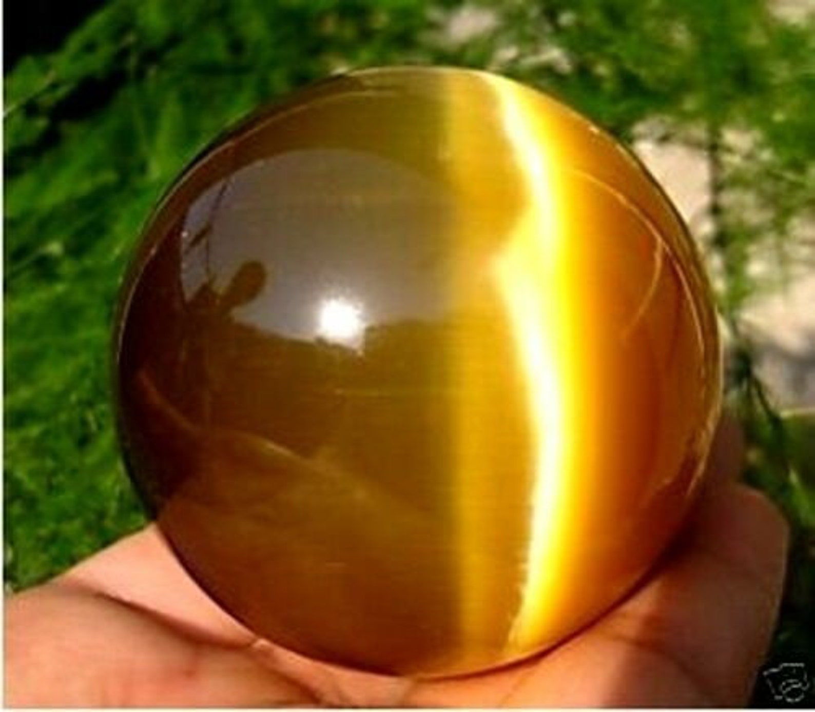 40mm Rare Golden Yellow Cat Eye Crystal Quartz Ball Sphere Etsy
