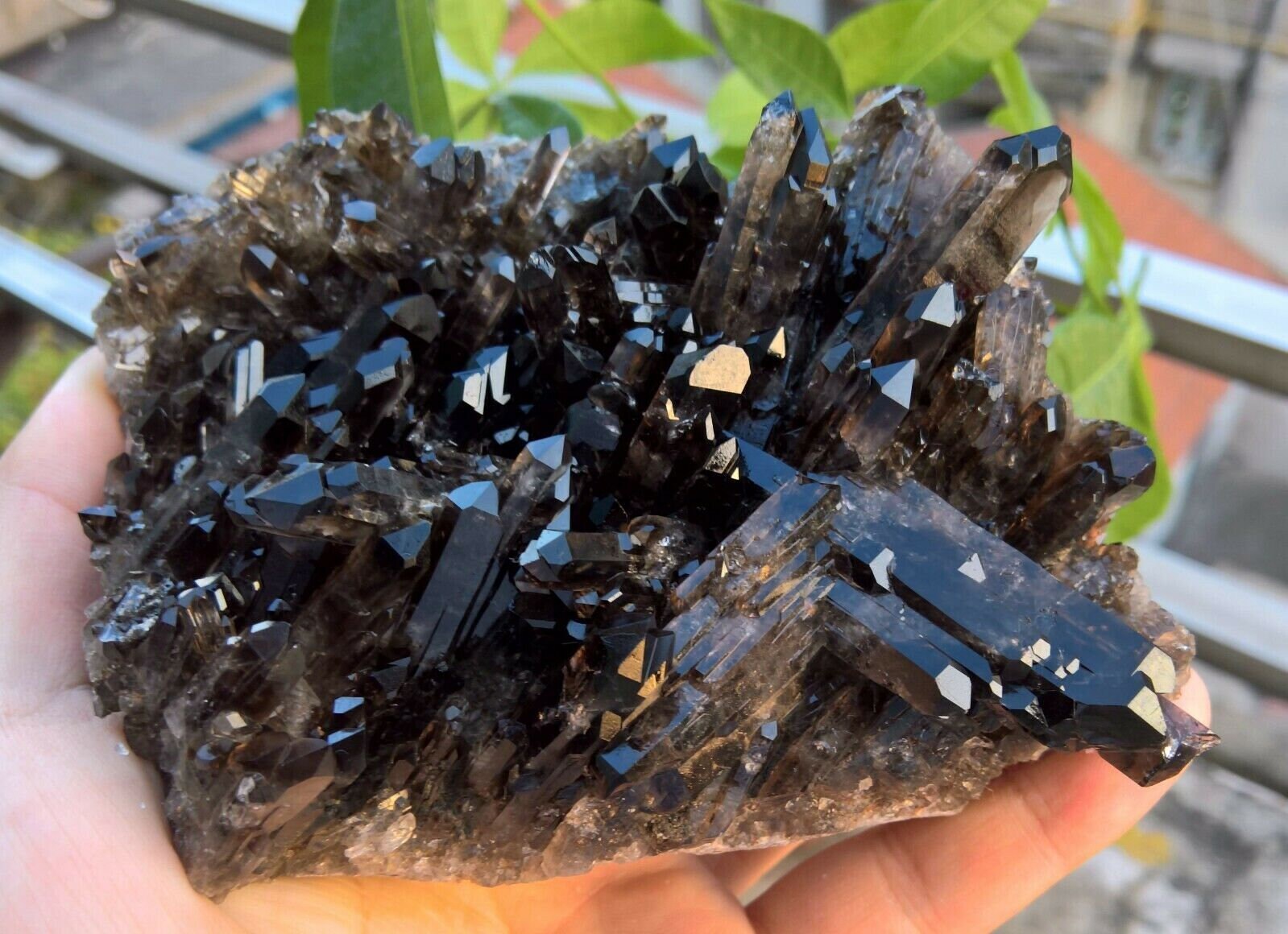 714g Natural Beautiful Black Quartz Crystal Cluster Specimen | Etsy