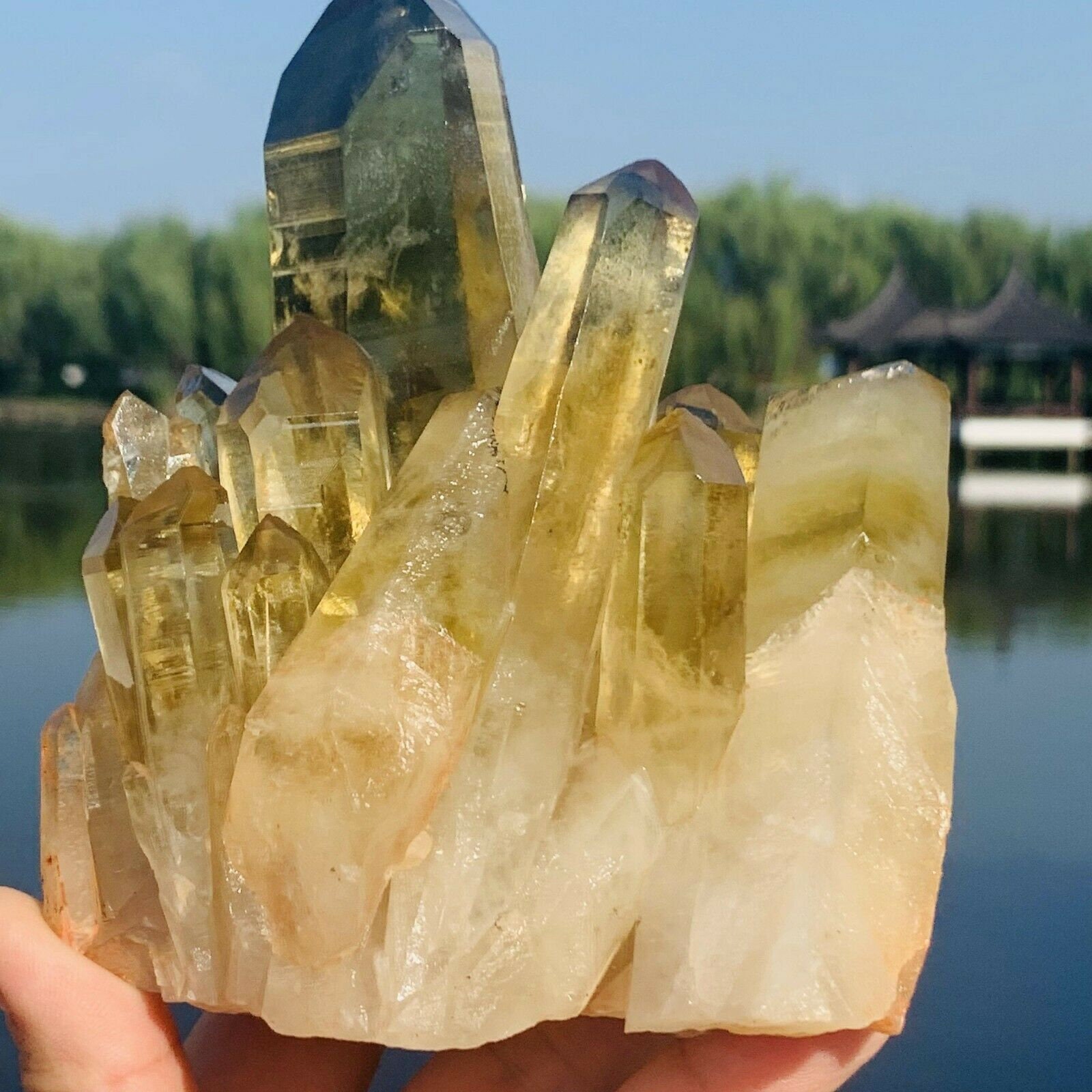 Natural citrine crystals for sale deals