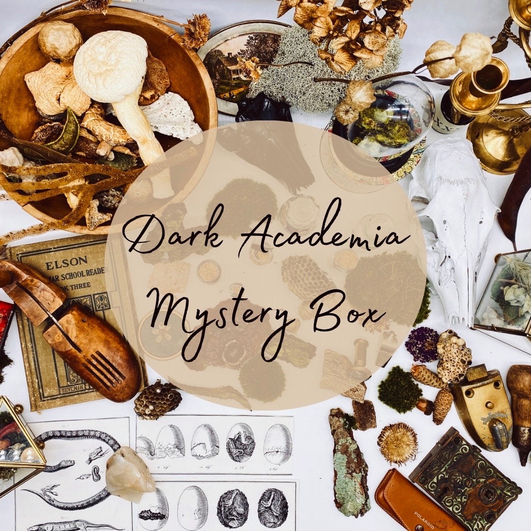 Dark Academia Mystery Box Oddities Curio Cabinet Dark Academia