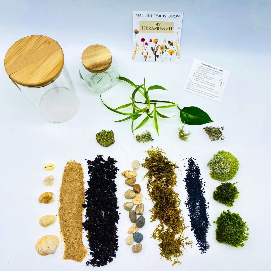 Live Moss Terrarium Self Sustaining Closed DIY Terrarium, Closed Glass