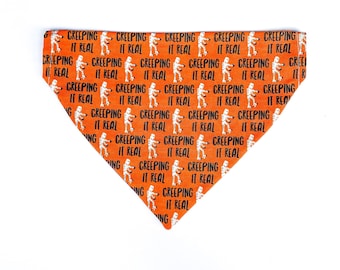 Halloween Dog Bandana, Mummy, Creepy | Over the Collar, Personalized Bandana, Reversible Bandana | Orange, Purple, Autumn, Spooky | Cat