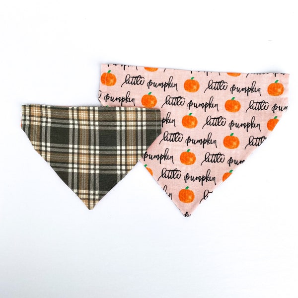 Fall Dog Bandana, Pumpkins, Plaid | Over the Collar or Tie On | Little Pumpkin, Autumn, Gourds | Personalized Bandana, Reversible