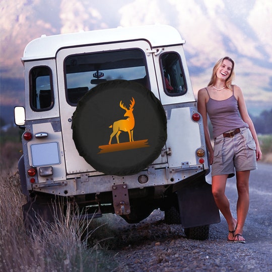 Disover Custom Spare Tire Cover