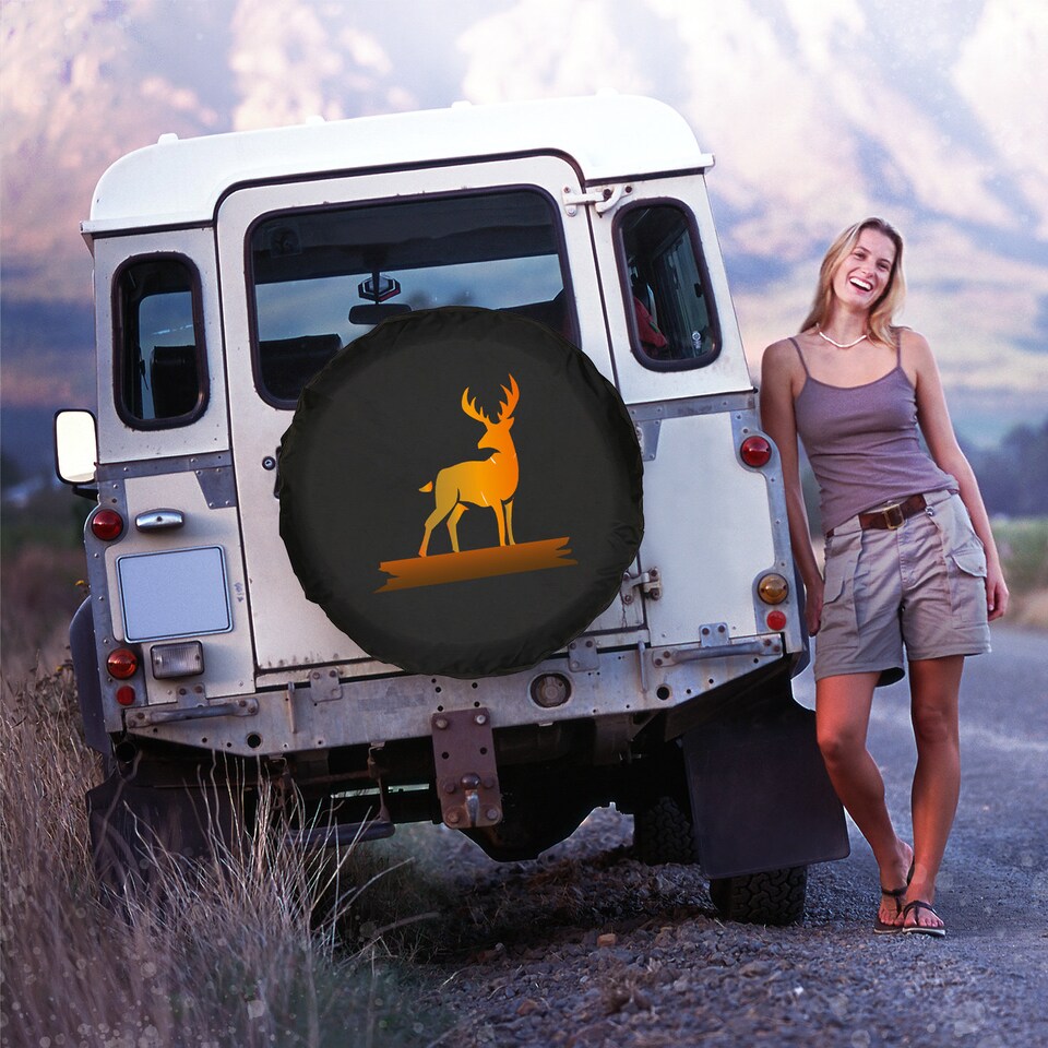 Discover Custom Spare Tire Cover