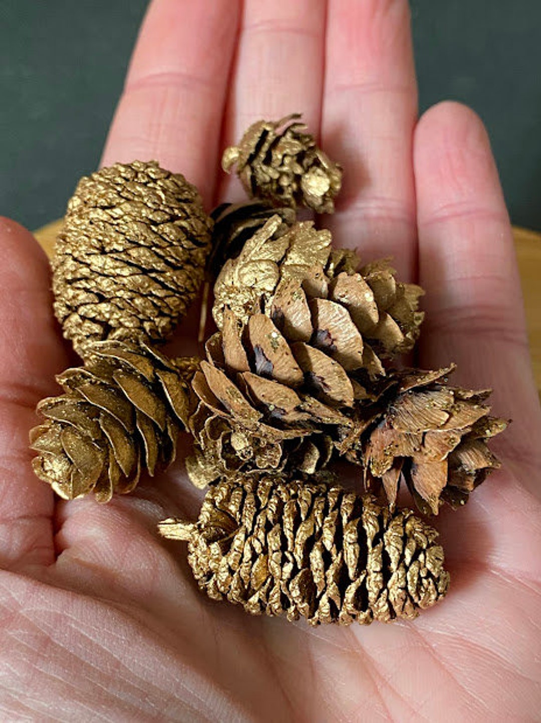 12 Miniature Natural Pine Cones Gold and Gold Glitter Etsy