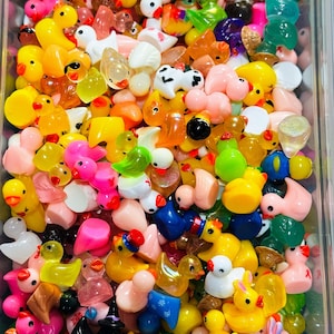 20 Miniature Ducks, Mystery Ducks,  Random Mix Ducks, Fairy Garden, Dollhouse, Trinkets, I Spy, Miniatures, Hiding Ducks, Jeep, Cruise Ducks