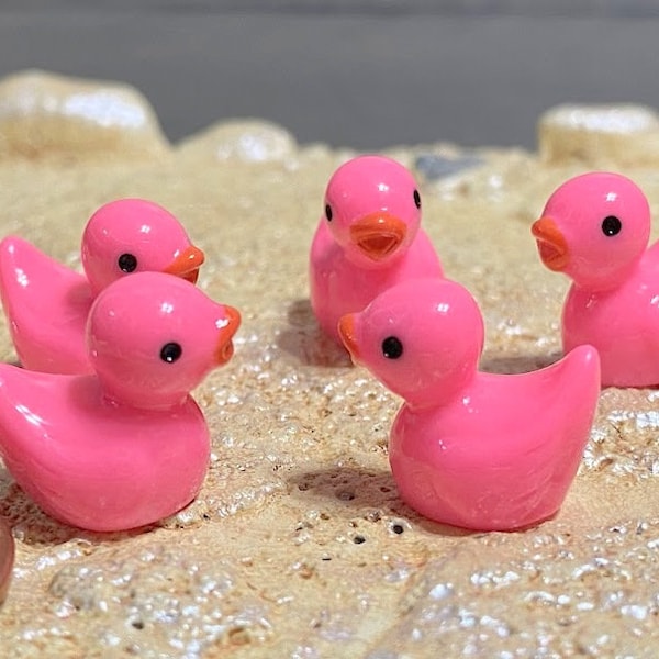 5 Miniature Ducks Hot Pink, Fairy Garden Ducks, Dollhouse Miniature Rubber Ducks, Slime Charms, Kawaii Charm, Favor, JEEP Duck, Baby Shower