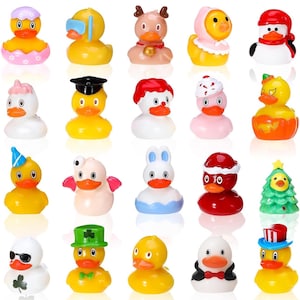 1 Mystery Ducks,  Random Mix Ducks, Fairy Garden, Dollhouse, Trinkets, I Spy, Miniatures, Hiding Ducks, Jeep, Cruise Ducks