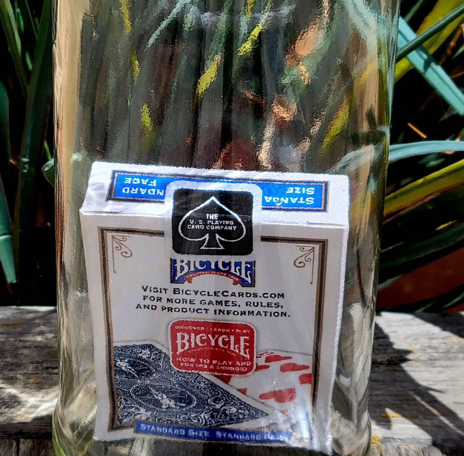 IMPOSSIBLE BOTTLE - Deck of Playing Cards in a Long Neck Alcohol Bottle ...