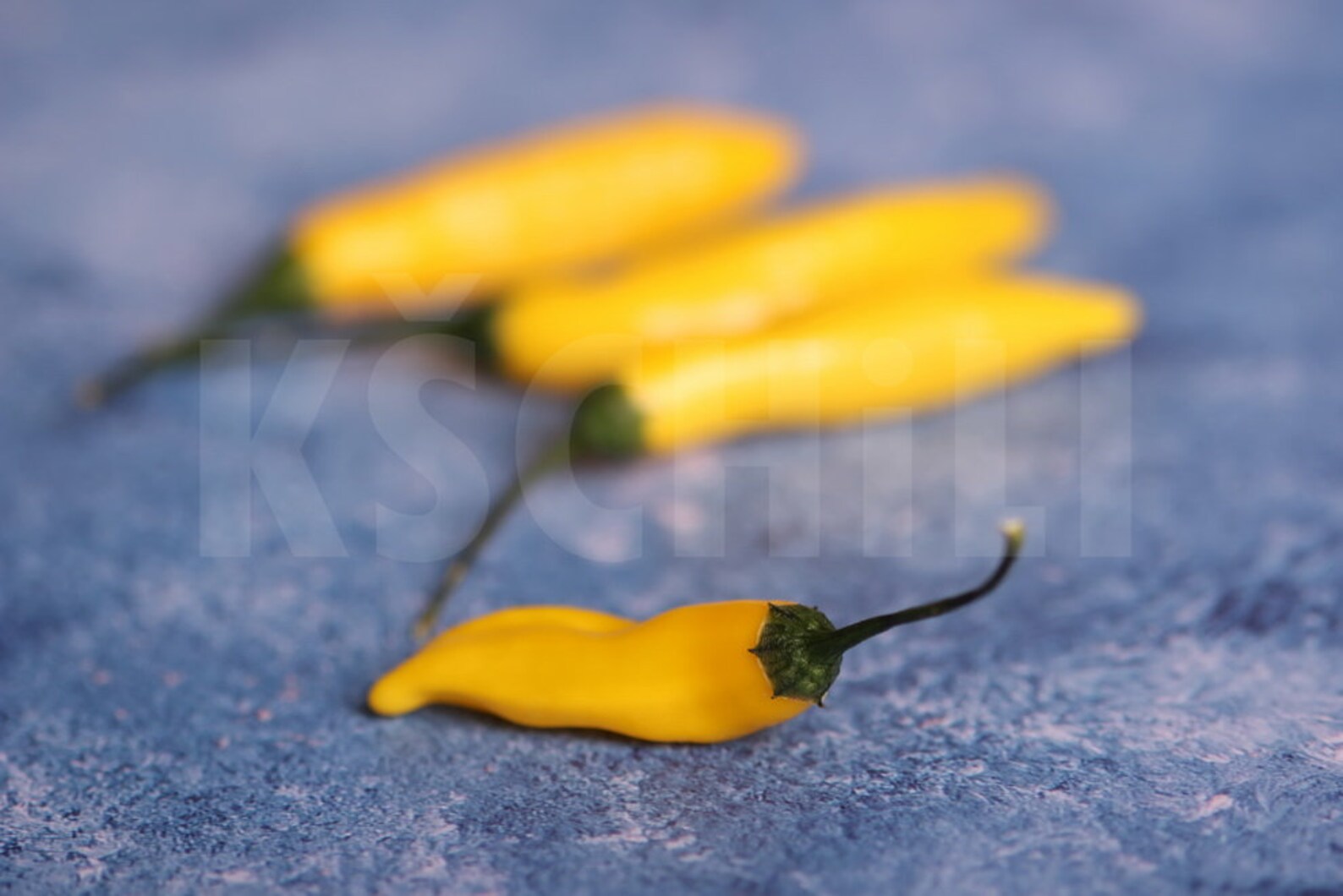Lemon Drop Hot Chili Pepper 8 Seeds Capsicum Baccatum Etsy