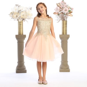 Blush Tulle short flower girl dress with golden embroidered bodice image 1