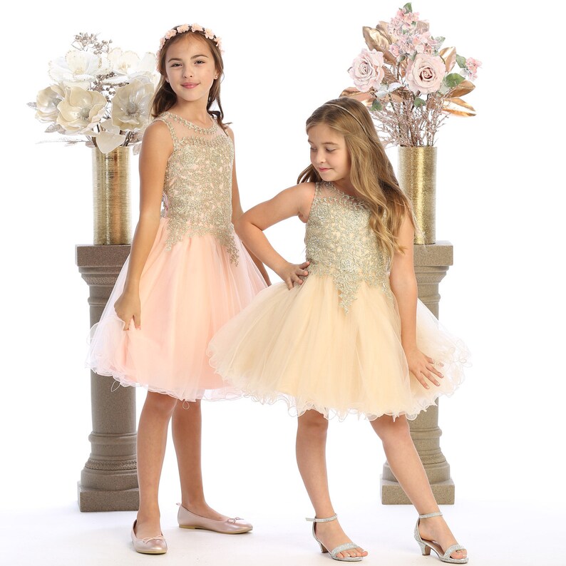 Blush Tulle short flower girl dress with golden embroidered bodice image 4