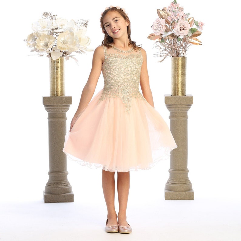 Blush Tulle short flower girl dress with golden embroidered bodice image 1