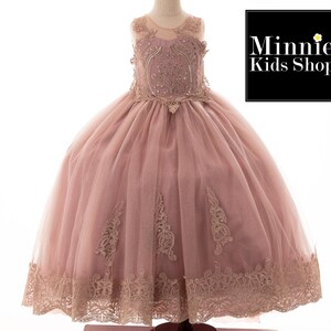 May include: A dusty rose tulle dress with a lace bodice and a lace trim around the bottom. The dress is on a mannequin.