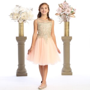 Blush Tulle short flower girl dress with golden embroidered bodice image 3