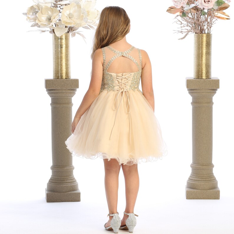 Blush Tulle short flower girl dress with golden embroidered bodice image 5