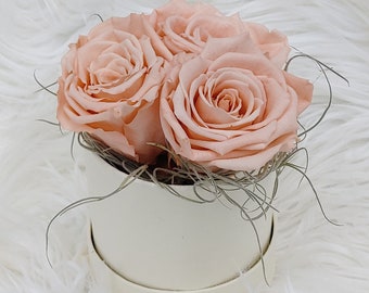 Hat Box Infinity Roses Daisy