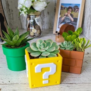 May include: Succulent plants in themed pots are displayed. A green pot, a yellow question mark block, and a brick-patterned pot hold the plants. A framed photo, a jar of flowers, and a wooden snail figurine are in the background.