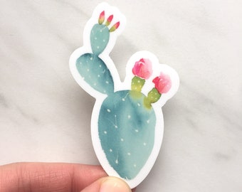 Pink Cactus Flower Sticker