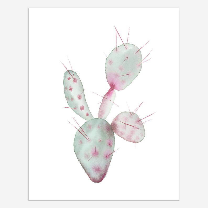 Prickly Pear Cactus Art Print 8x10, 11x14 image 2
