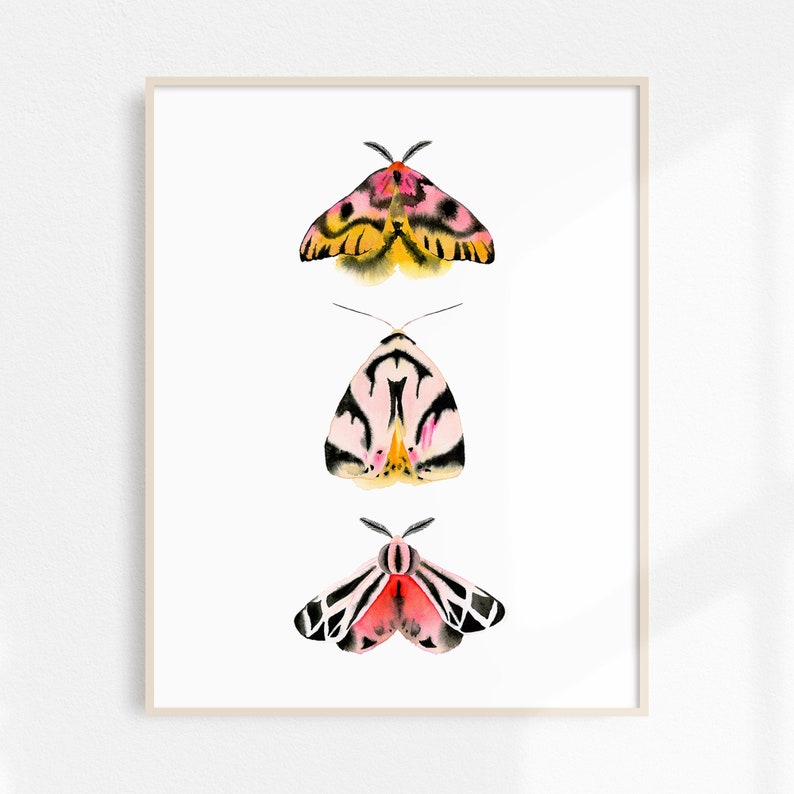 Sheep & Tiger Moths Art Print 11x14 image 1