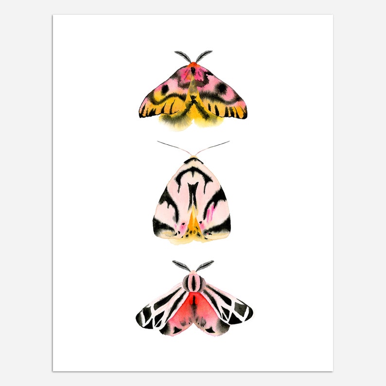 Sheep & Tiger Moths Art Print 11x14 image 2