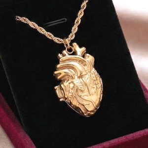 Könnte beinhalten: Ein goldfarbener Anhänger in Form eines anatomischen Herzens an einer passenden gedrehten Kordelkette. Der Anhänger weist detaillierte, erhabene Reliefstrukturen auf, die die Form eines menschlichen Herzens nachahmen. Er liegt in einer roten Samtschmuckschatulle.