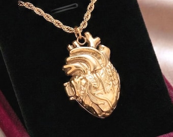 Gold Anatomical Heart Locket Necklace