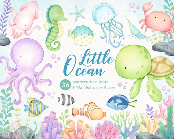 Watercolor Sea Animals Clipart Cute Ocean Baby Animals PNG - Etsy Sweden Watercolor Sea Animals Clipart Cute Ocean Baby Animals PNG - Etsy Sweden