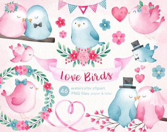 Watercolor Wedding Lovebirds Clipart, Sweet Valentine Love Birds PNG