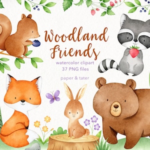 Watercolor Woodland Animals Clipart Graphics, Forest Baby Animal Clip Art, Fox, Bunny, Bear, Raccoon, Squirrel, Water Color Clip Art PNG