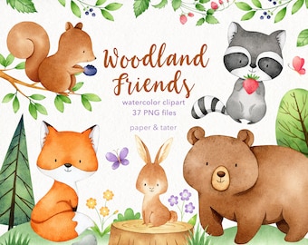 Watercolor Woodland Animals Clipart Graphics, Forest Baby Animal Clip Art, Fox, Bunny, Bear, Raccoon, Squirrel, Water Color Clip Art PNG