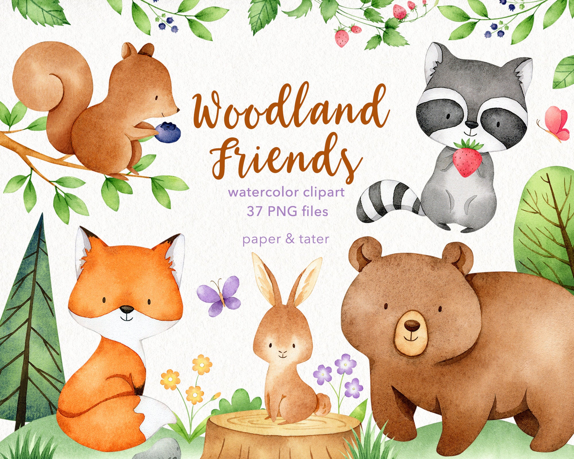 Bear clipart Forest friends clipart Fox clipart Watercolor forest friends graphic collection Raccoon clipart Watercolor animals clipart