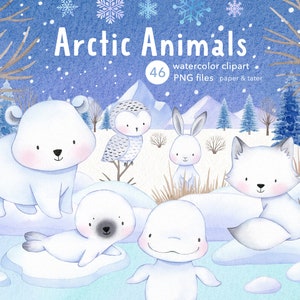 Arctic Animals Watercolor Clipart, Winter Woodland PNG