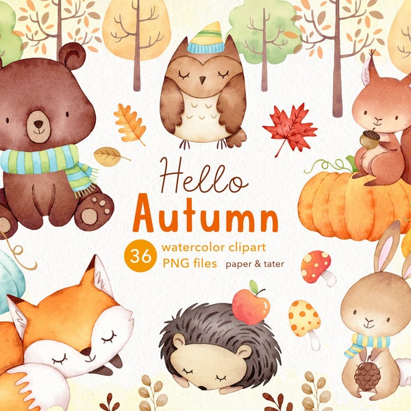 Watercolor Autumn Woodland Clipart, Fall Forest Baby Animal PNG, Bear, Fox, Hedgehog, Owl, Squirrel, Rabbit, Water Color Clip Art Graphics