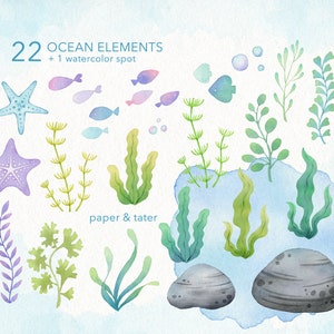 Whales and Sharks Watercolor Clipart, Cute Ocean Animals PNG image 3