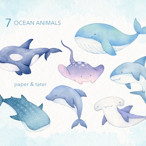 Whales and Sharks Watercolor Clipart, Cute Ocean Animals PNG image 2