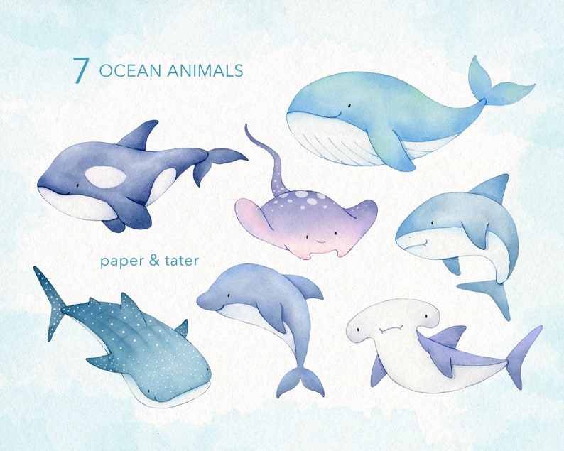 Whales and Sharks Watercolor Clipart, Cute Ocean Animals PNG image 2