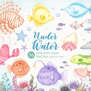 Farewell SALE - Unterwasser-Tiere Aquarell Clipart, Unterwasser-Baby-Tiere PNG