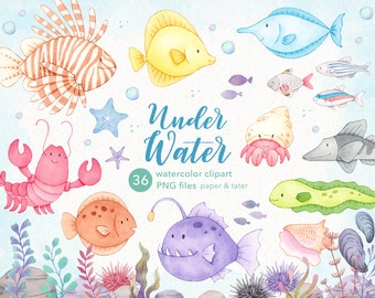 Underwater Animals Watercolor Clipart, Under Sea Baby Animals PNG