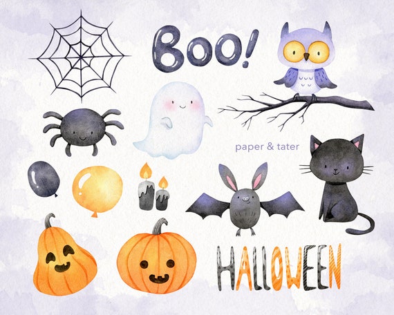 Halloween Bat Spider Web And Pumpkin Lantern PNG Images