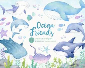 Whales and Sharks Watercolor Clipart, Cute Ocean Animals PNG