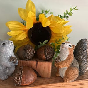 Concrete Squirrel *FALL SPECIAL **