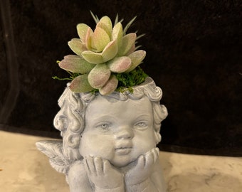 Cement Cherub Planter with succulents
