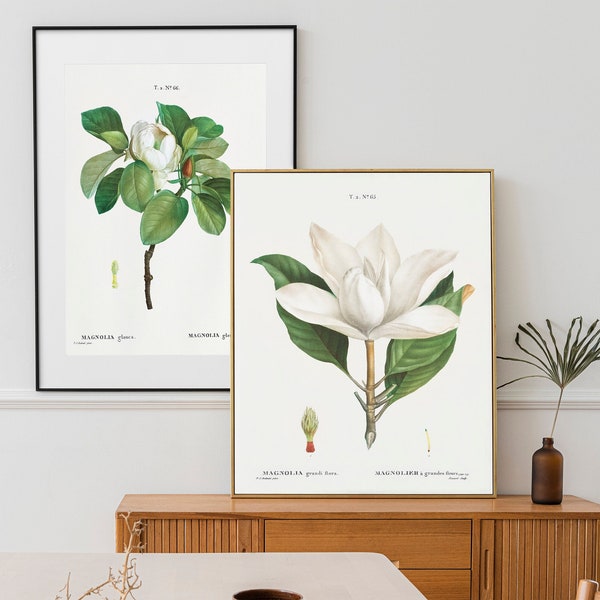Magnolia Printable - Etsy