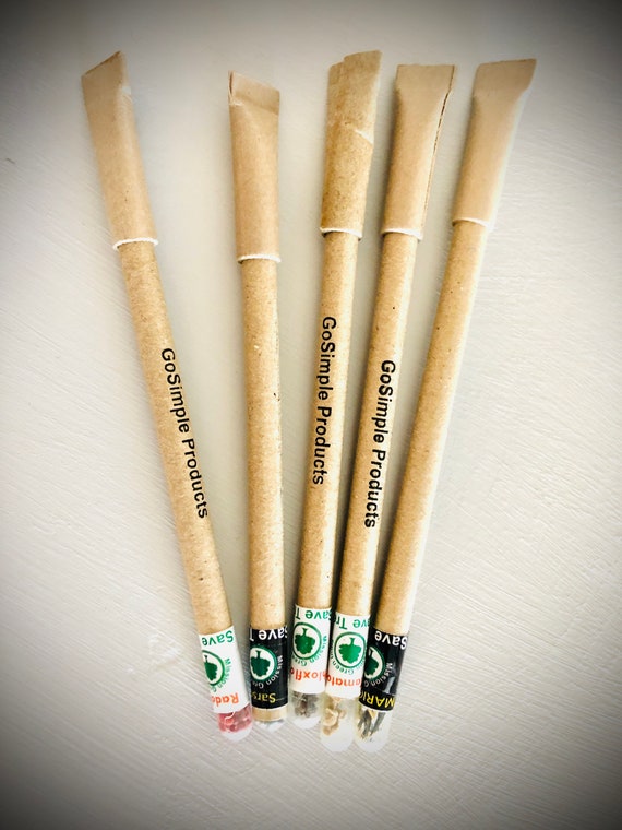 Recycled Paper pens and Plantable Paper Pens-Blue Ink-Environment Friendly