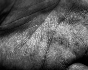 Hand Closeup Photo Print